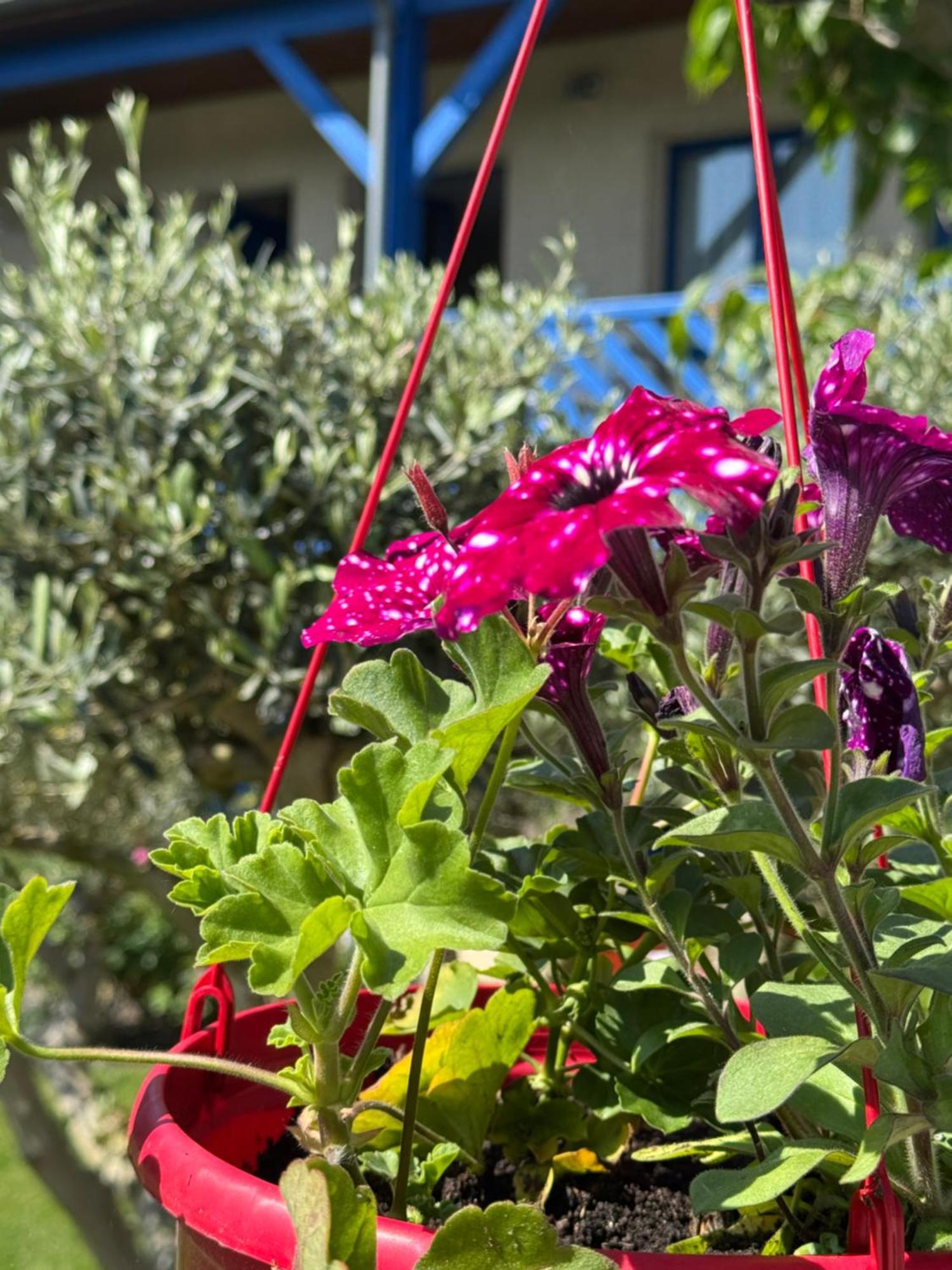 Vendôme Hotel Capricorne מראה חיצוני תמונה